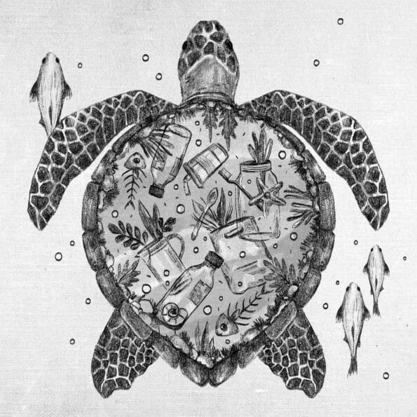 wildlife